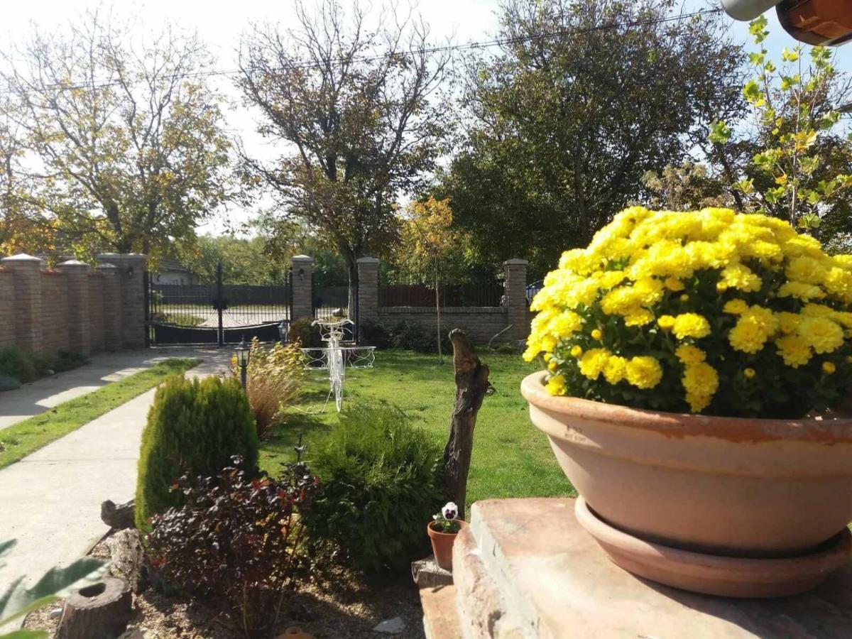 Rita Apartman & Studio Зренянин Екстериор снимка