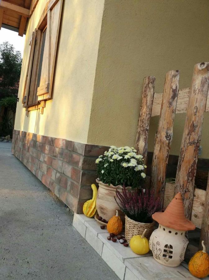 Rita Apartman & Studio Зренянин Екстериор снимка
